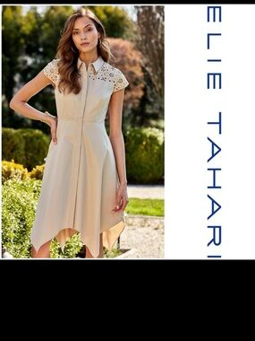 Elie Tahari Cream Asymmetrical Dress